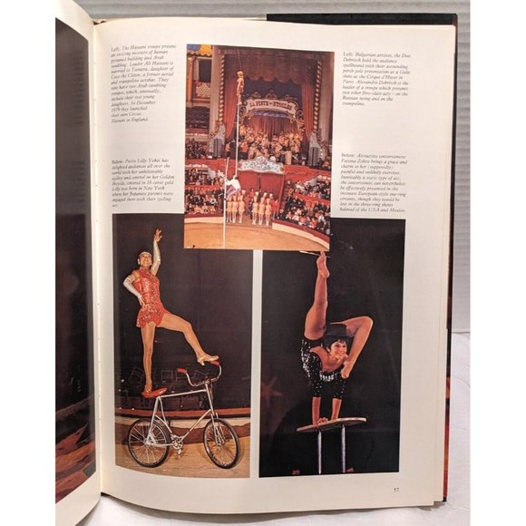 Colorful World of the Circus 1980 Hardcover Clowns Jamieson Animals David Vtg - Picture 8 of 14